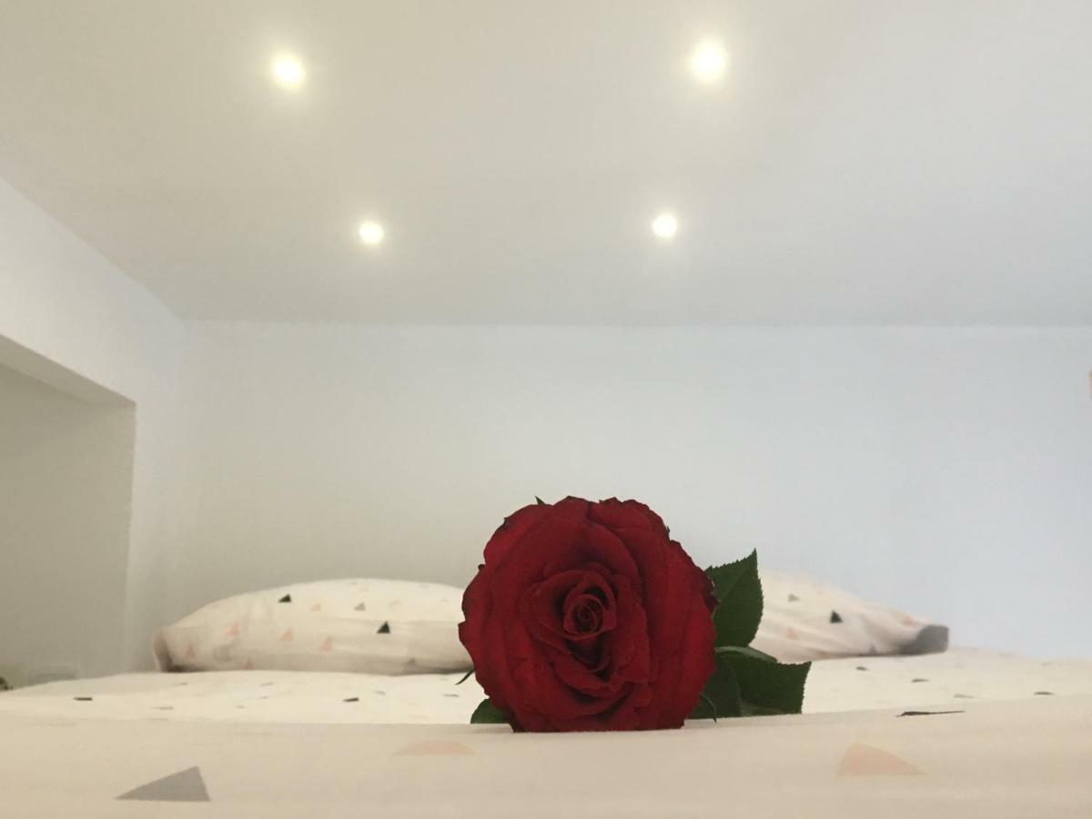 Studio Cosy Бурж Экстерьер фото